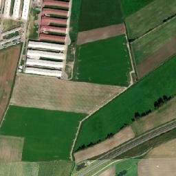 Satelita