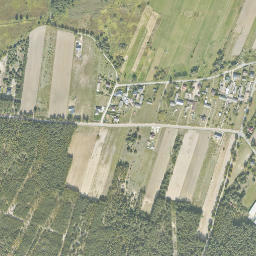Satelita