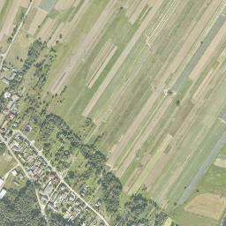 Satelita