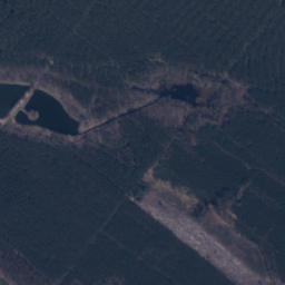 Satelita