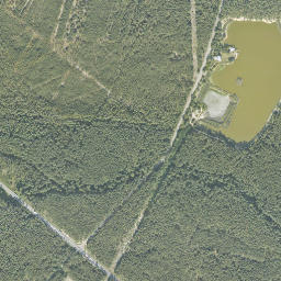 Satelita