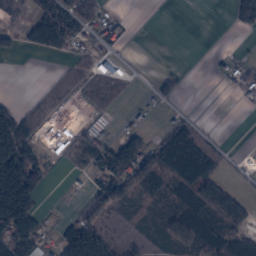 Satelita
