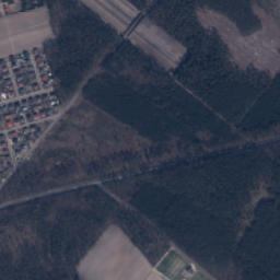 Satelita