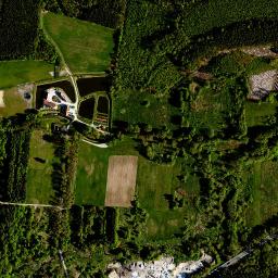 Satelita