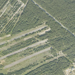 Satelita
