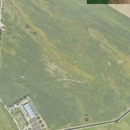 Satelita