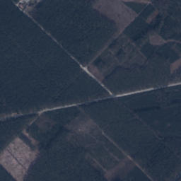 Satelita