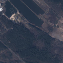 Satelita