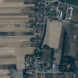 Czarnocin map(satellite map)