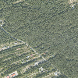 Satelita