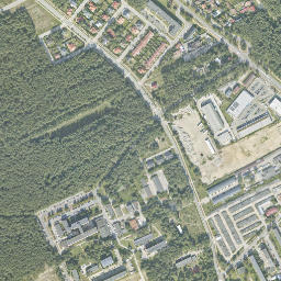 Satelita