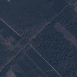 Satelita