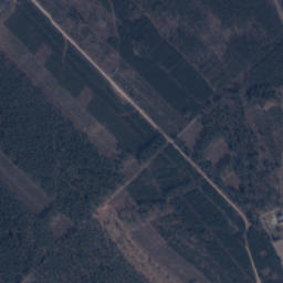 Satelita