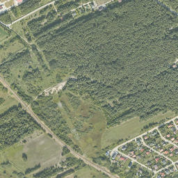 Satelita