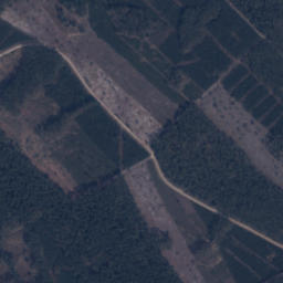Satelita