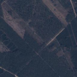 Satelita