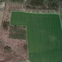 Satellite view of Golf Platz Dübener Heide