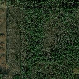 Powiat włodawski map(satellite map)