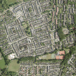 Breugel map(satellite map)