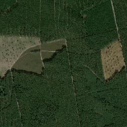 Satelita
