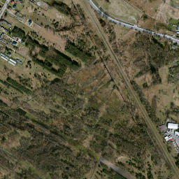 Satelita