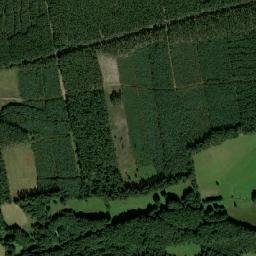 Satelita