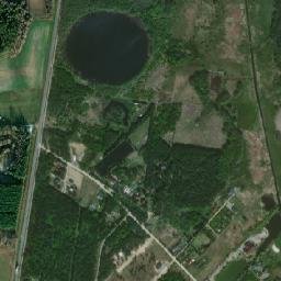 Satelita