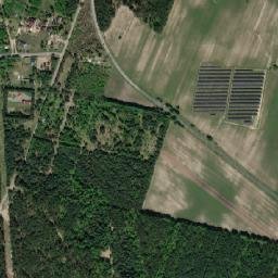 Satelita
