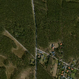 Satelita
