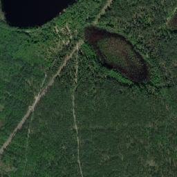 Satelita