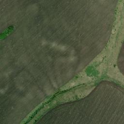 Gorshechenskiy Rayon map(satellite map)