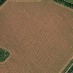 Gribanovskiy Rayon map(satellite map)