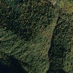Slyudyanskiy Rayon map(satellite map)