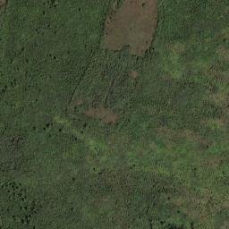 Svobodnenskiy Rayon map(satellite map)