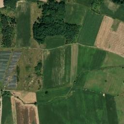 Satelita