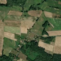 Satelita