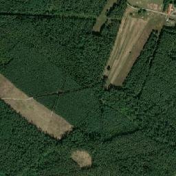 Satelita