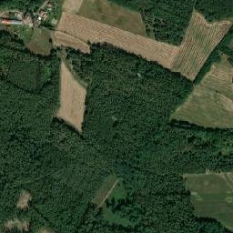 Satelita