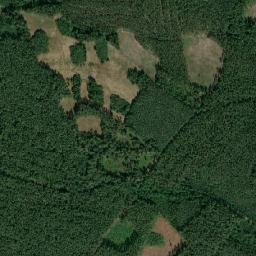 Satelita