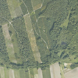 Satelita