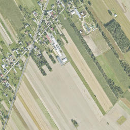 Satelita