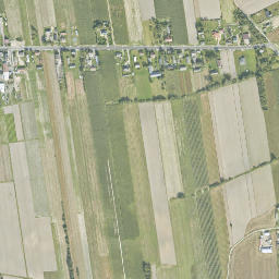 Satelita