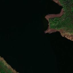 Satelita