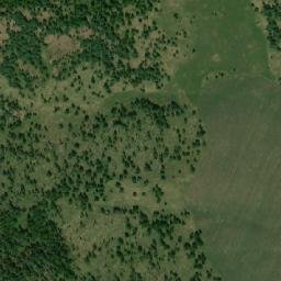 Shebalinskiy Rayon map(satellite map)