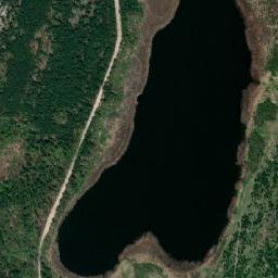 Satelita