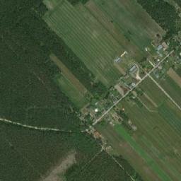 Satelita