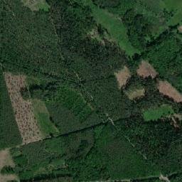Satelita