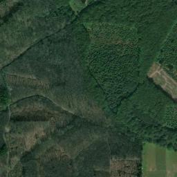 Satellite view of Kings Hill Golf Club