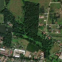 Satelita