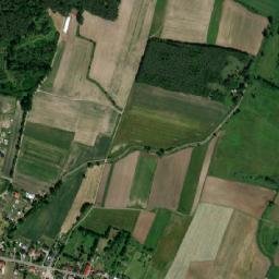 Satelita